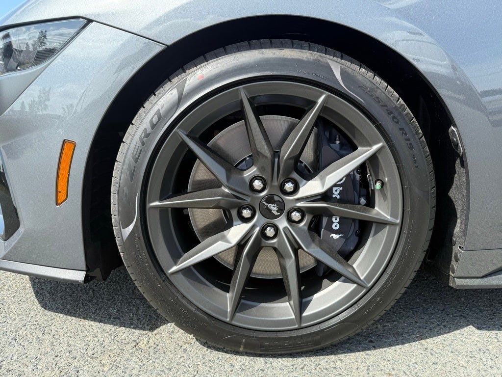 2025 Ford Mustang Dark Horse