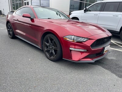 2019 Ford Mustang EcoBoost