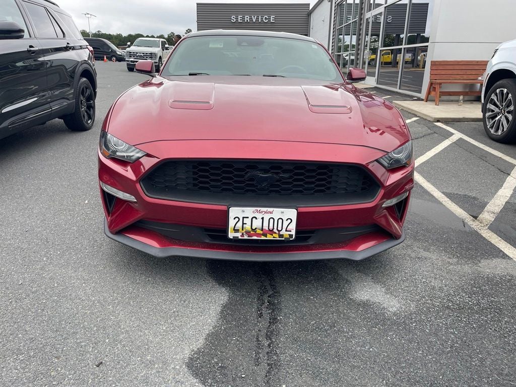 2019 Ford Mustang EcoBoost