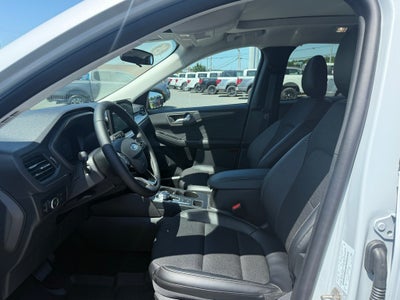 2025 Ford Escape Plug-In Hybrid Base