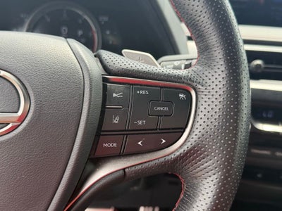 2019 Lexus UX 200 F SPORT